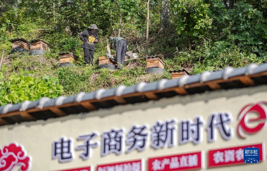 皇冠真人玩游戏